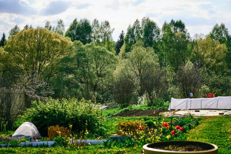 Healthy eating meets stylish living: how to design your dream kitchen garden kitchen garden design